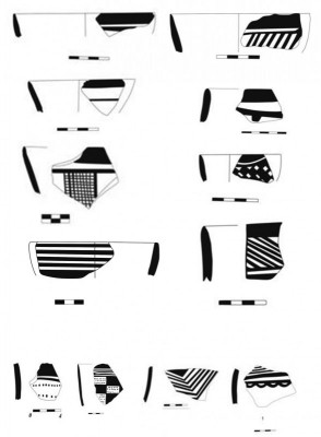 Figure 7. Pottery samples from Saki Abad. 